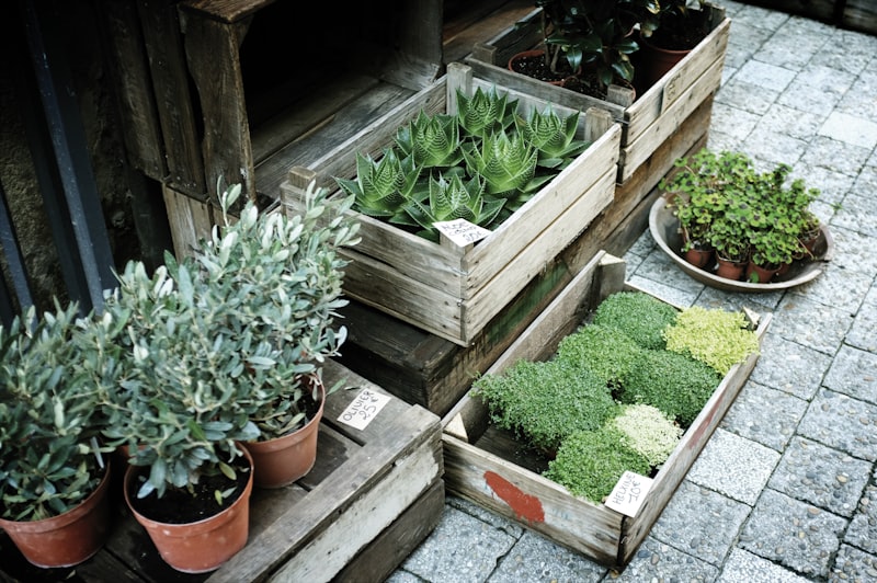 Outdoor Storage Box