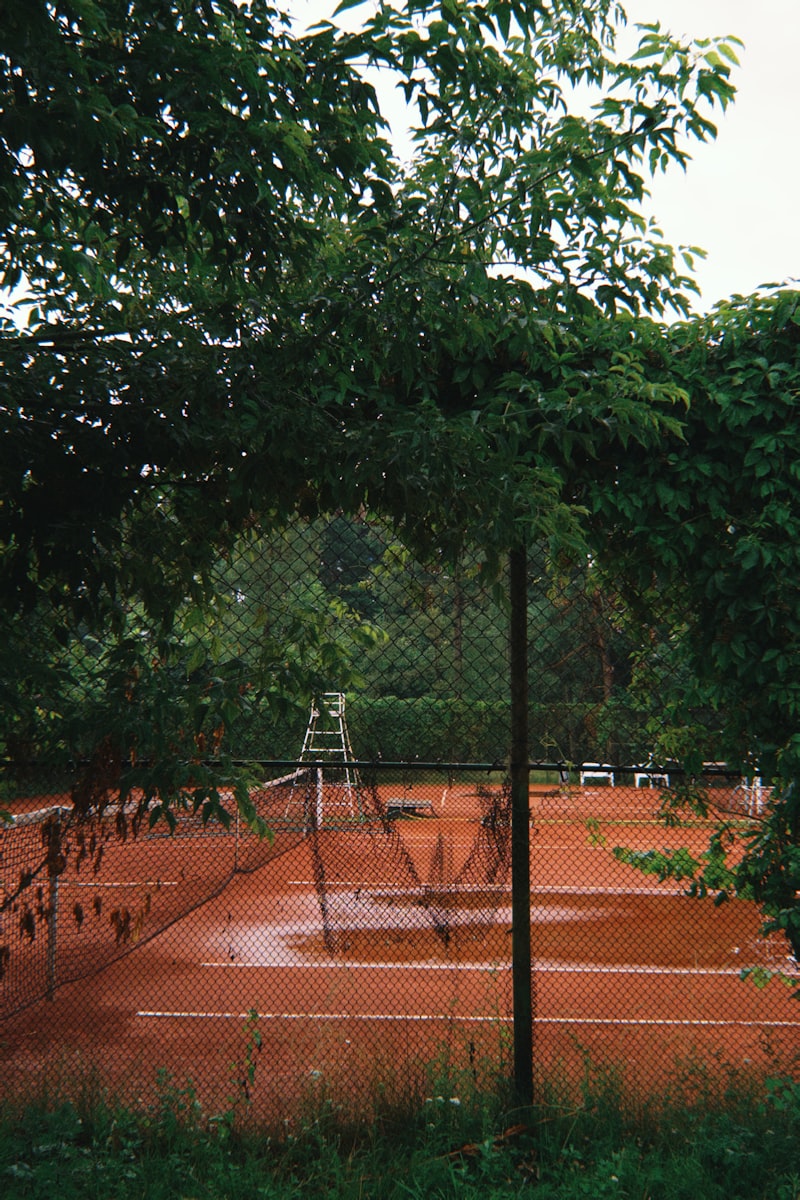 Rainwater Collection Barrel