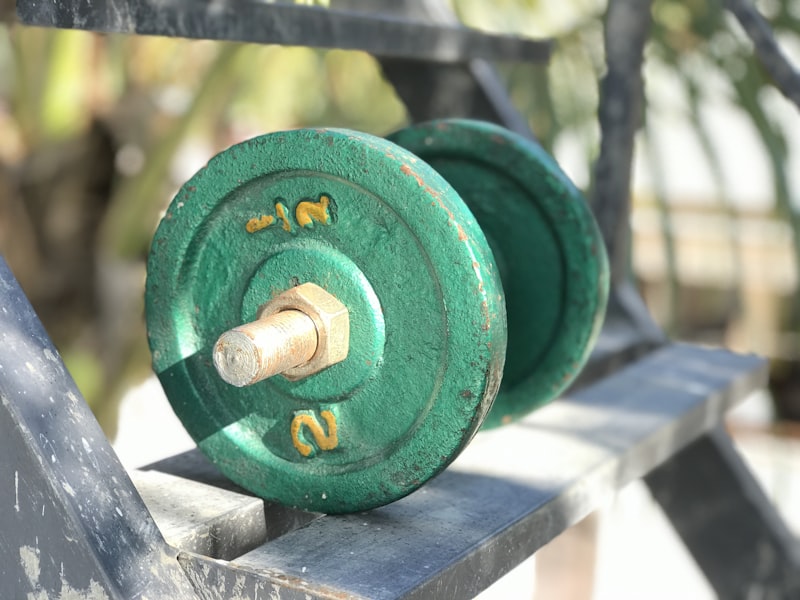 Weight Bench